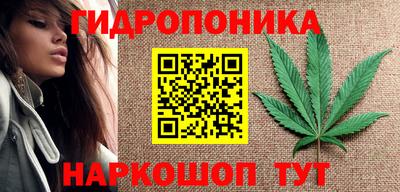 наркотики Гай