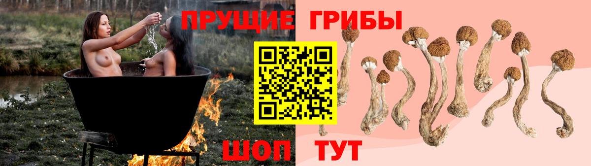 Галлюциногенные грибы Magic Shrooms Нововоронеж